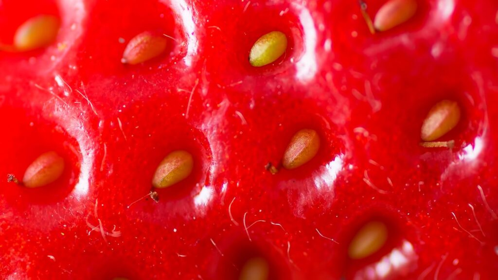 Close up of seeds on a strawberry
